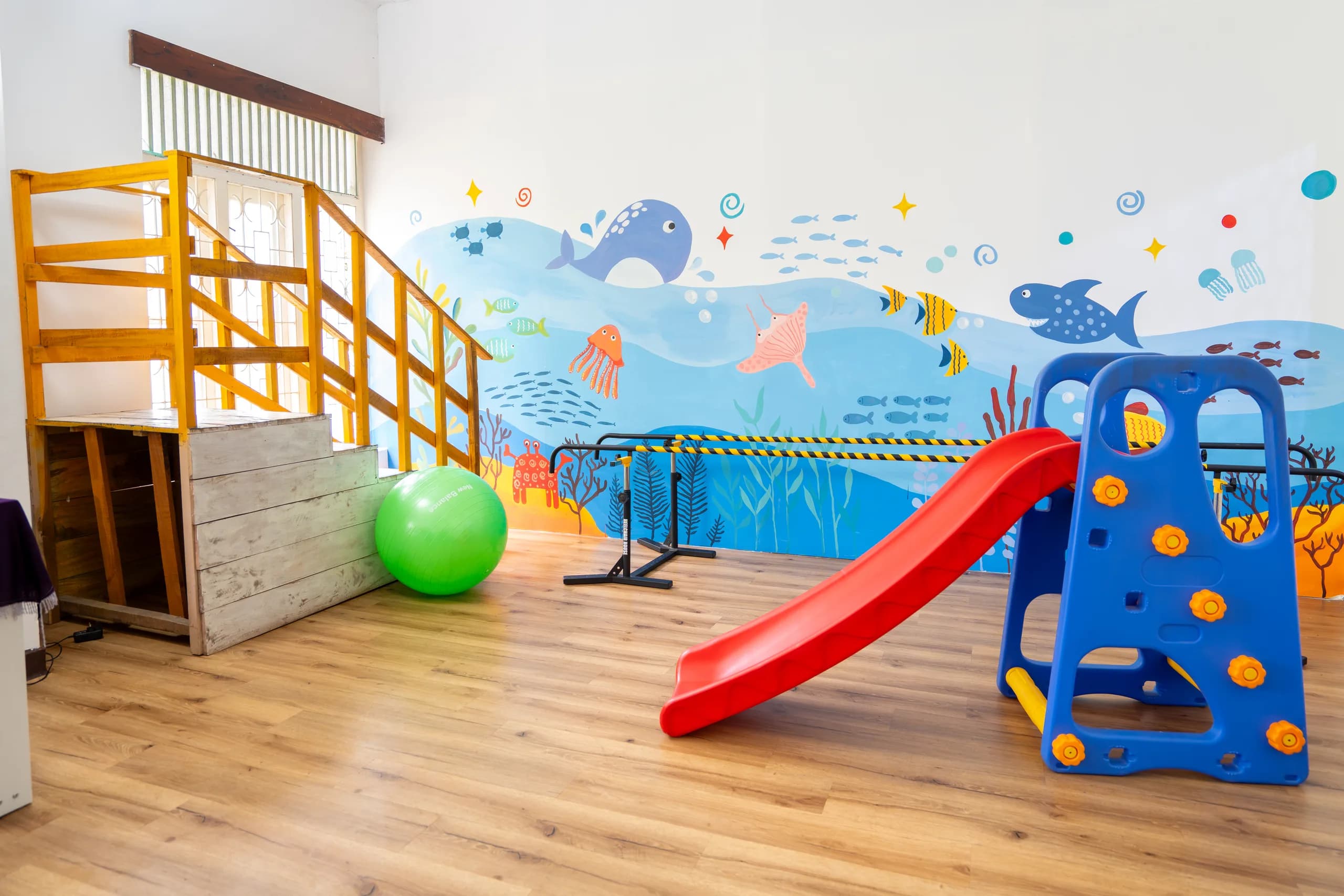 Physiotherapy activity area